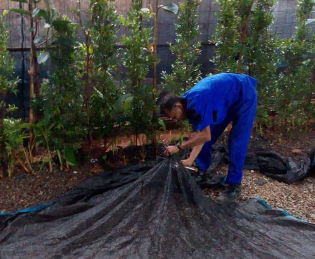 Landscape Gardener